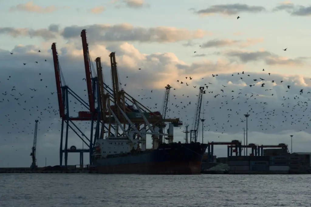 Try again: Spain is about to launch a second mediated attempt to secure port labour system reforms. Credit: Cat Collector