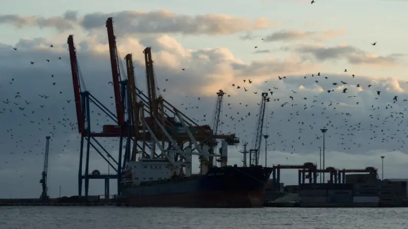 Try again: Spain is about to launch a second mediated attempt to secure port labour system reforms. Credit: Cat Collector