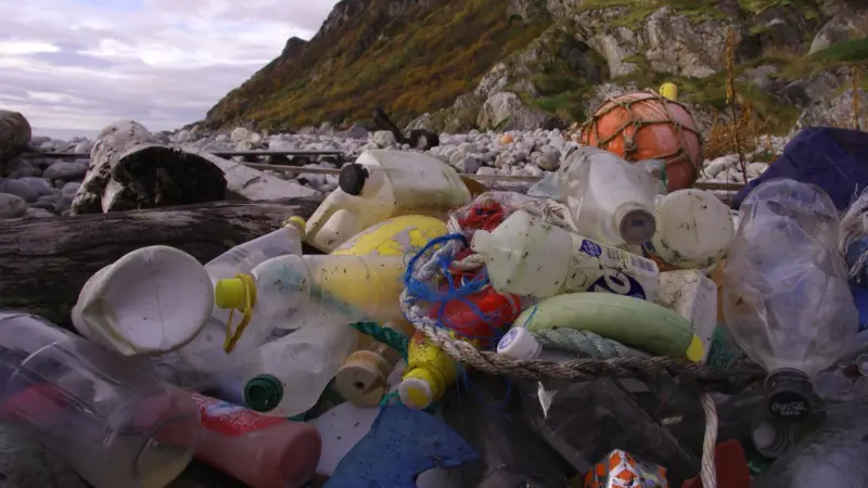 marine debris