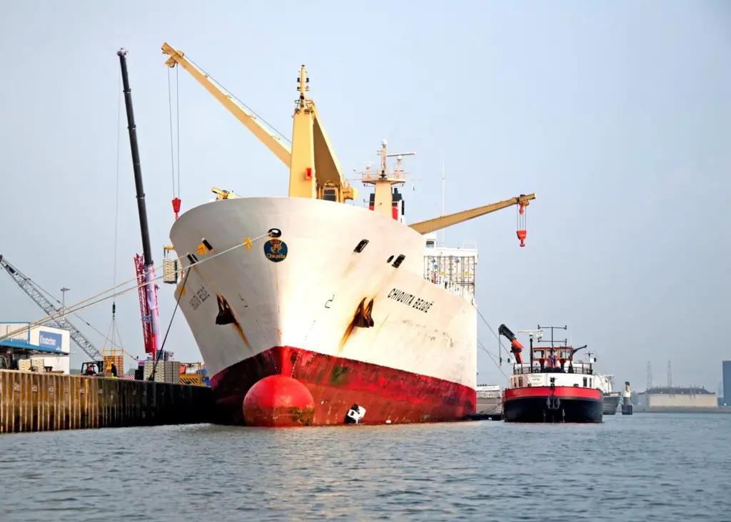Cleaning service: Fleet Cleaner has expanded its hull cleaning services to all ports in the Netherlands