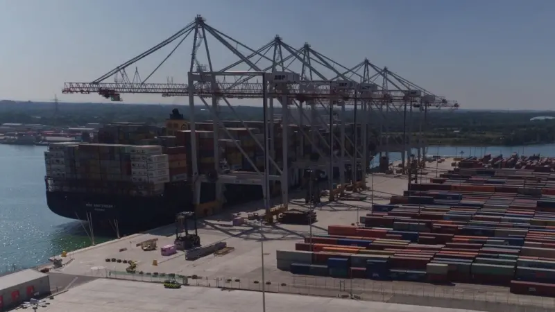 The union at DP World Southampton is one of the alliance members. Credit: DP World Southampton