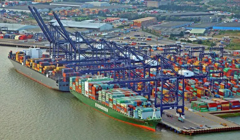 Border security: The report focused on the effectiveness of immigration and customs control at ports such as Felixstowe Photo: Port of Felixstowe