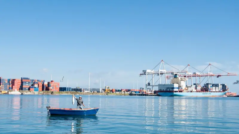 The Port of Tauranga has won an inaugural industry award for its efforts to eliminate biosecurity threats Photo: Brian brianscantlebury.com/Flickr/CC BY-SA 2.0