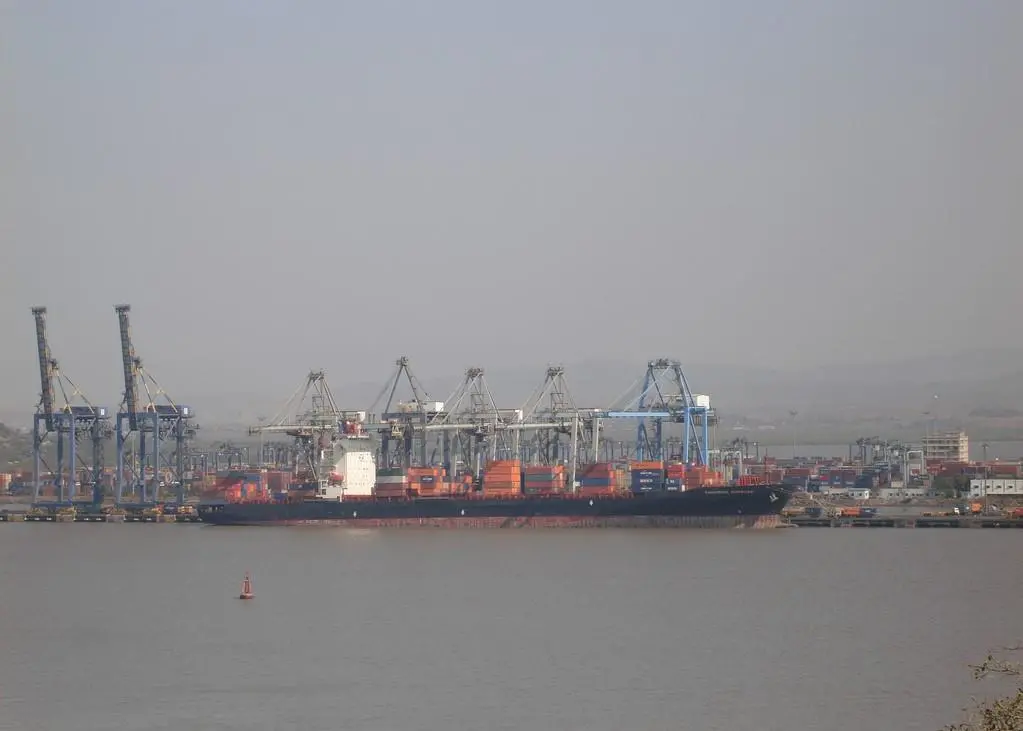 No new port should be allowed within 100 kilometres of India’s top ports without board approval, a parliamentary panel has recommended Photo: asands/flickr/CC BY-SA 2.0