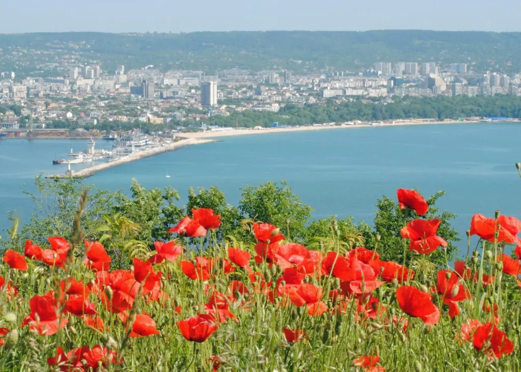 The Port of Varna EAD is planning to sign a framework deal with up to three possible contractors Photo: Vicki Burton/flickr/CC BY-SA 2.0