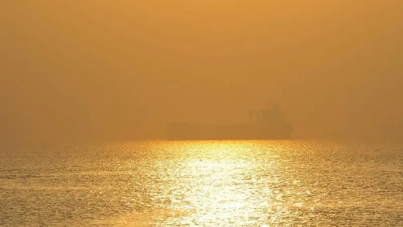 In the first half of the year, coal handling at the port fell by 24% while steel throughput decreased by 27% Photo: Yuhong Qin/flickr/CC BY-NC-ND 2.0