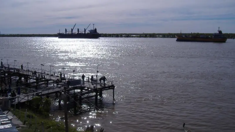 Argentina’s Minister of Transport has welcomed favourable government tax policies that have been responsible for a raft of new investment in ports in the Rosario Metropolitan area. Credit: Pablo Flores, via Flickr, Creative Commons licence