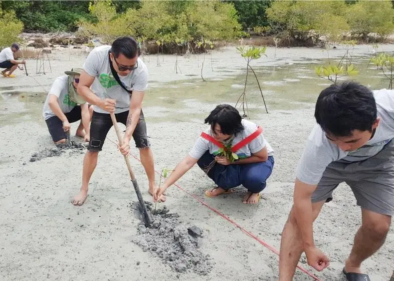 Planting endeavours by Laem Chabang International Terminal (LCIT)