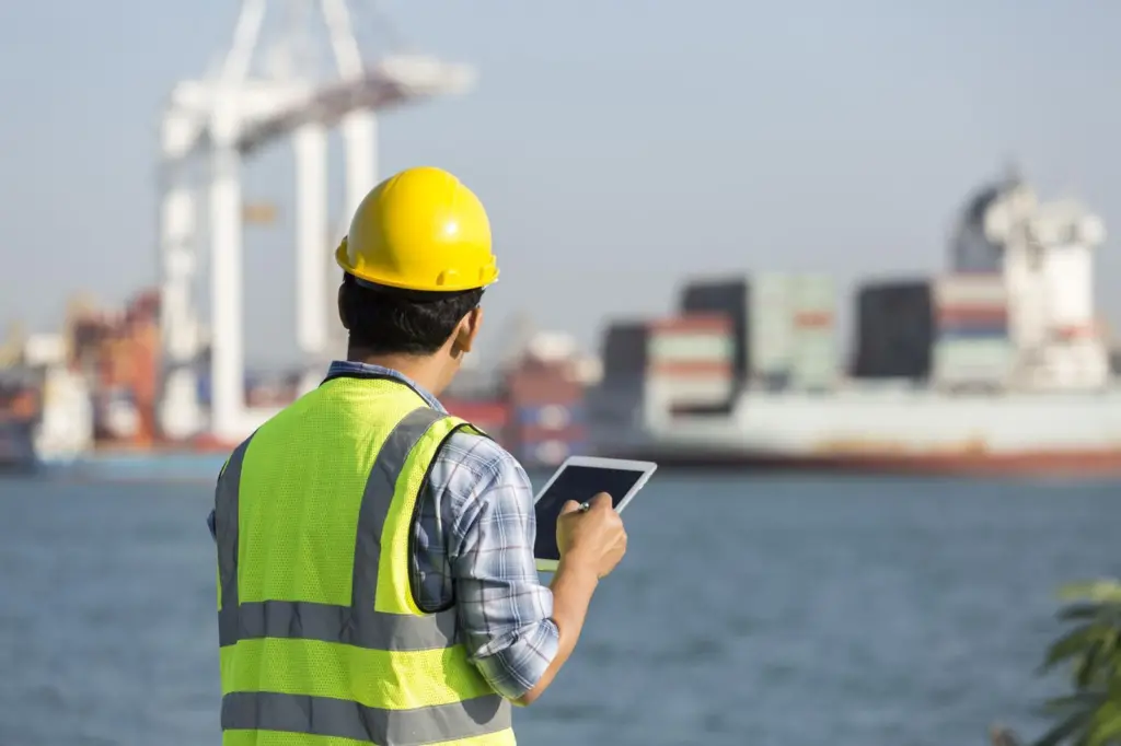 New horizon: shipping now presents interesting career growth opportunities for IT practitioners