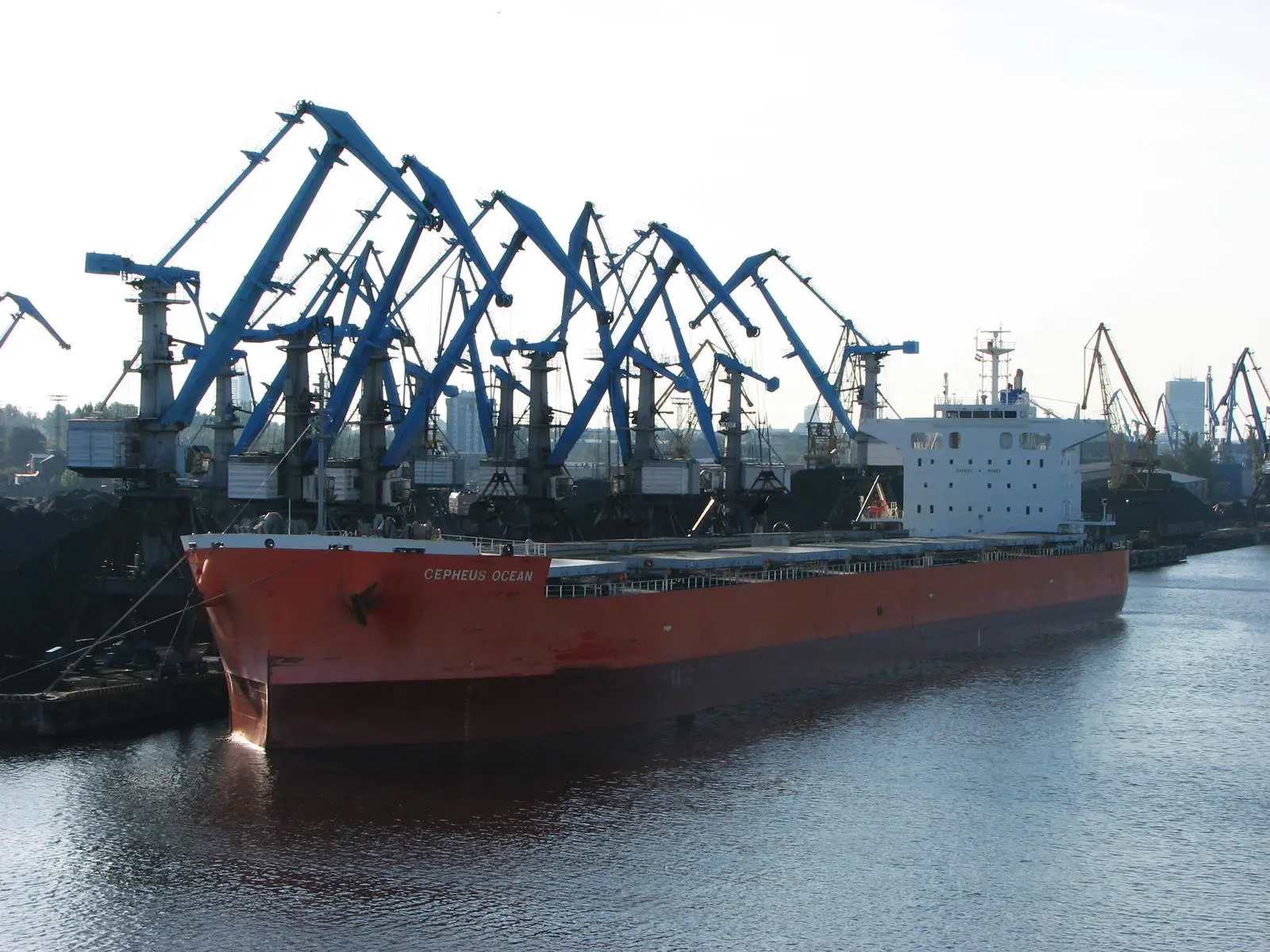 Bulk cargo terminal
