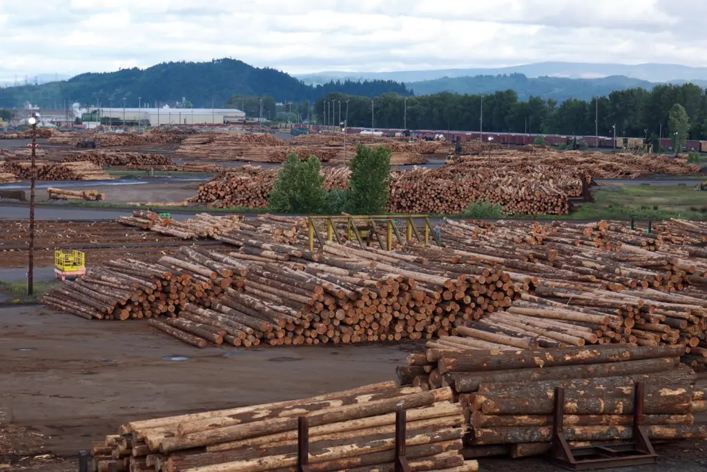 There's a need to expand timber storage facilities in ports. Credit: Sam Beebe