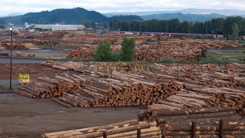 There's a need to expand timber storage facilities in ports. Credit: Sam Beebe