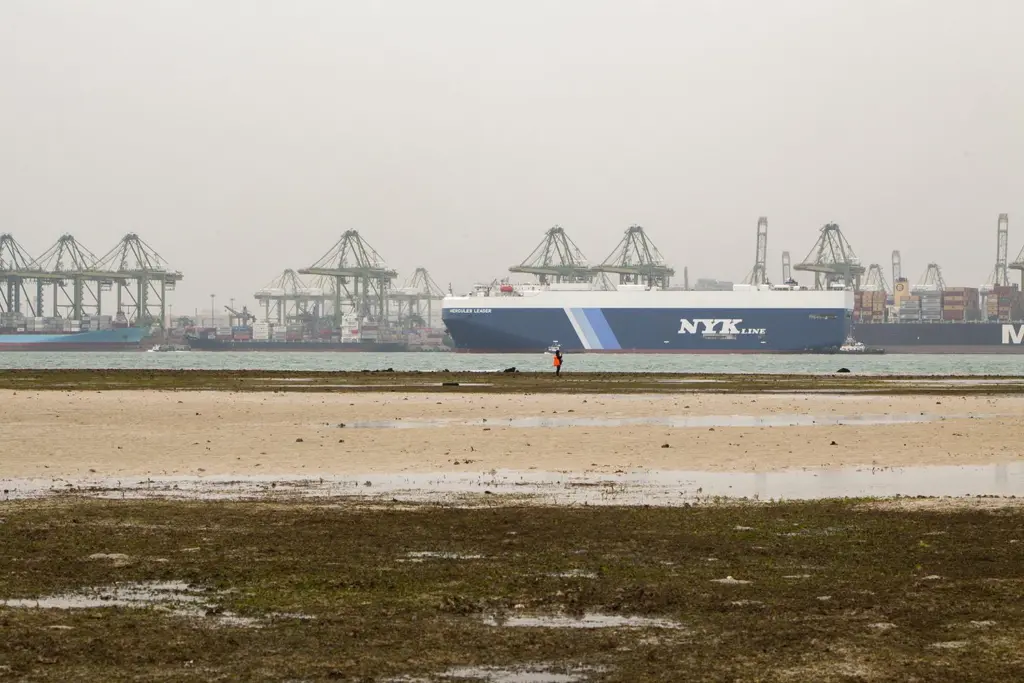 Singapore's dedicated shipping line strategy seems to be paying off. Credit: Budak