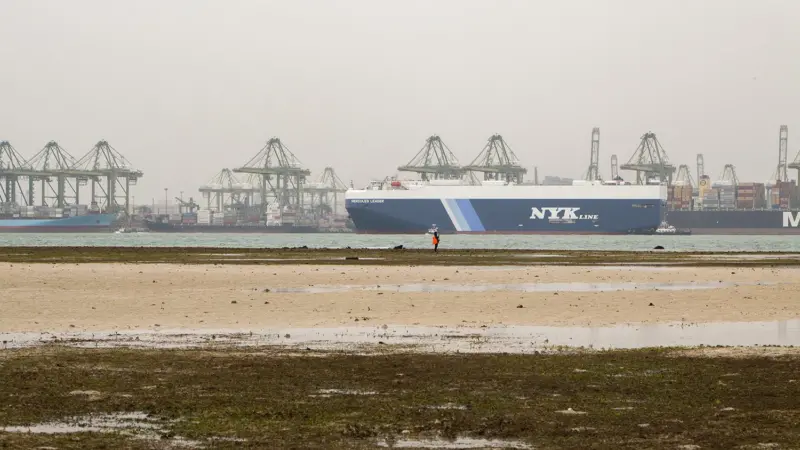 Singapore's dedicated shipping line strategy seems to be paying off. Credit: Budak