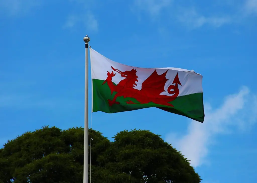 Calls have been made for ports in Wales to be given free port status following the UK’s departure from the European Union