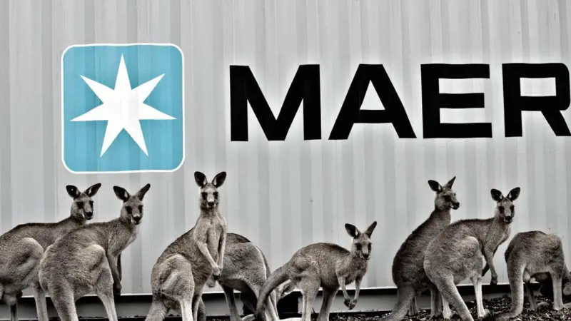 Maersk’s decision to return import containers down-under has upset terminal operators. Credit: Maersk Line