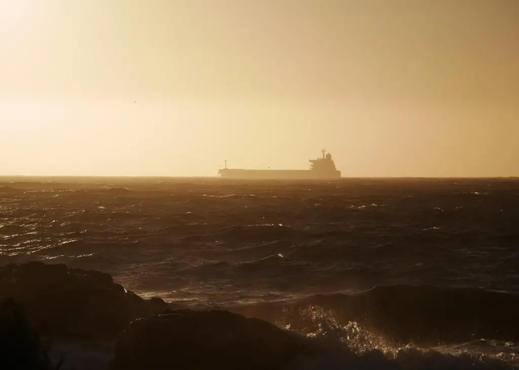 The research projected the transport demand for container, dry bulk, wet product and chemical, oil tanker, gas and general cargo ships Photo: Free-Photos/Pixabay/CC0 Creative Commons