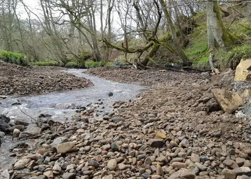 Breary Banks