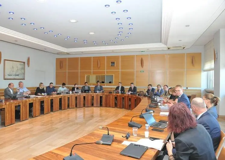 ESI working group