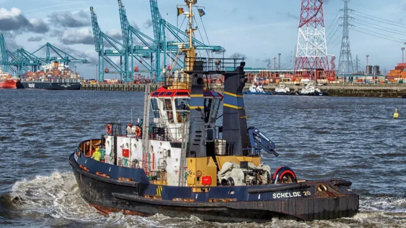 Mr Kaunonen believes that the ports and terminals sector remains 10 to 15 years behind other industries due to its reluctance to standardise or automate (image is for illustrative purposes only) Photo: 12019/Pixabay/CC0 Creative Commons