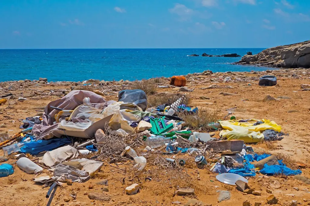00_103855_garbage-3552363_1920