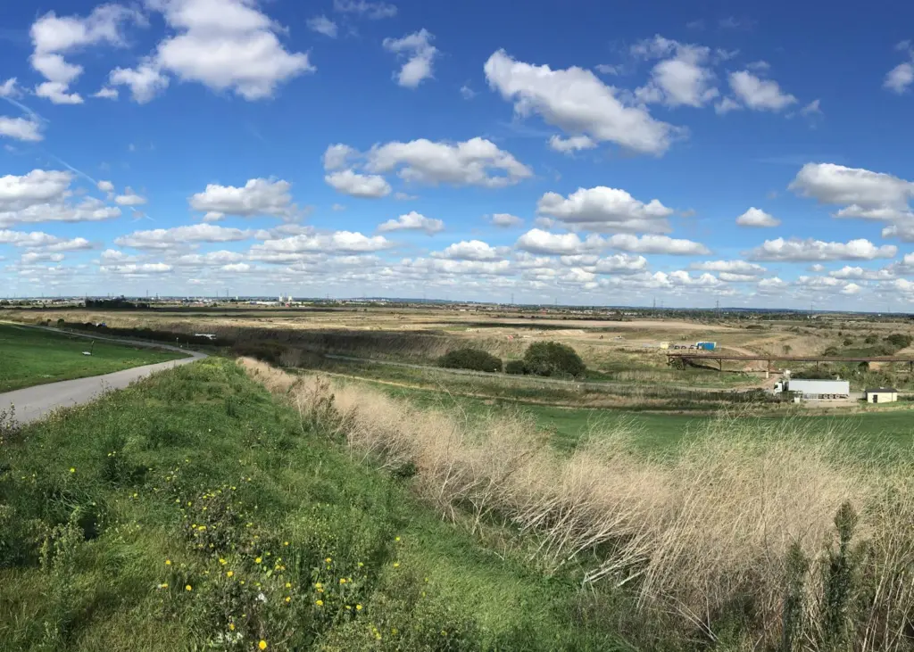Land & Water’s project will involve working in partnership with the Port of London Authority Photo: Land & Water