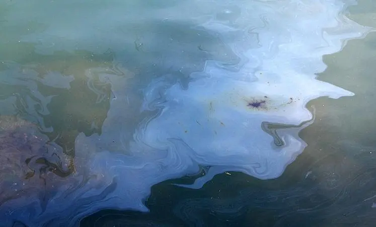 oil spill