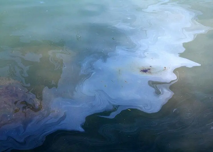 oil spill
