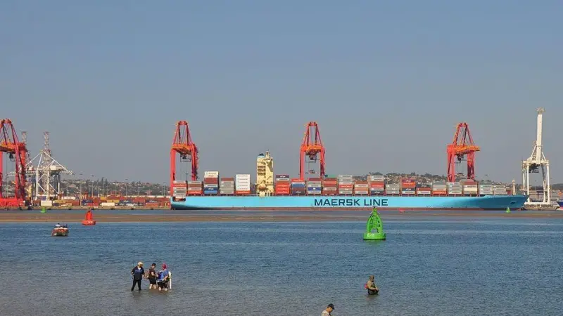 Transnet said it pulled the venture on the basis of its own forensic investigation following allegations brought up by a losing bidder (image is of Durban Container Terminal) Photo: Pechristener/Wikimedia Commons/CC BY-SA 3.0