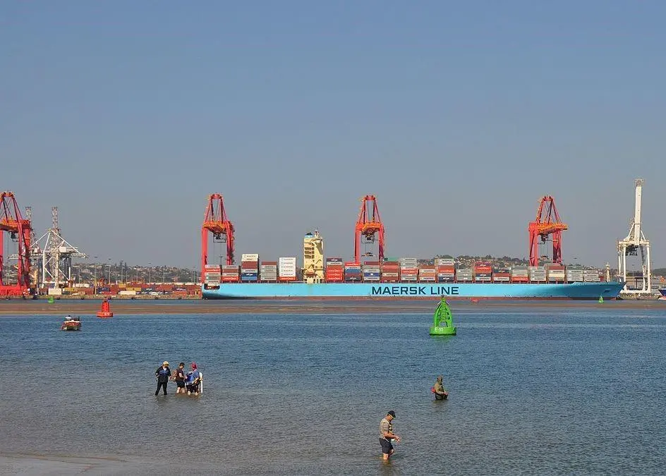 Transnet said it pulled the venture on the basis of its own forensic investigation following allegations brought up by a losing bidder (image is of Durban Container Terminal) Photo: Pechristener/Wikimedia Commons/CC BY-SA 3.0