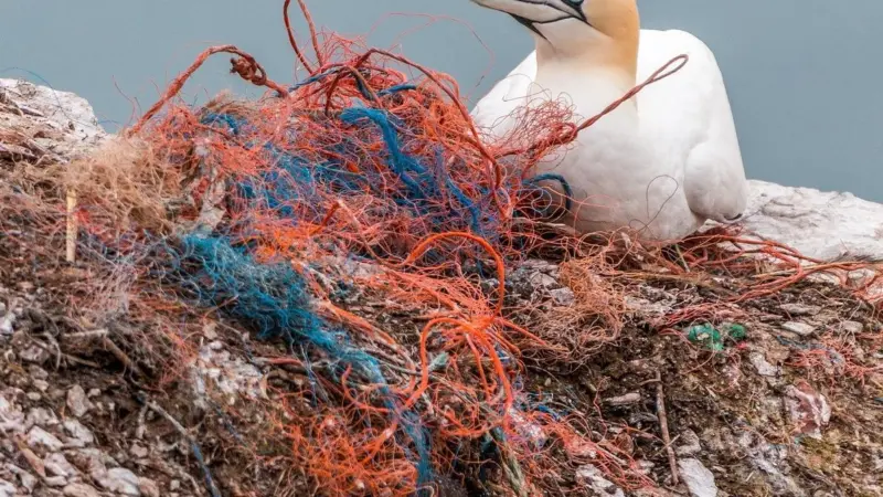 plastic waste