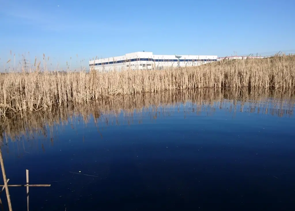 Ecological receptor site