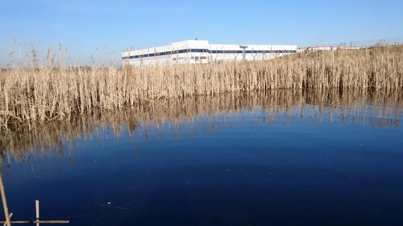 Ecological receptor site