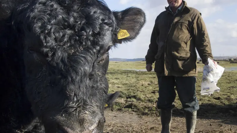 PLA works with farmers