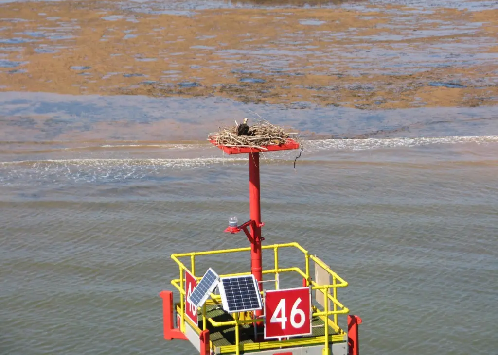 channel marker