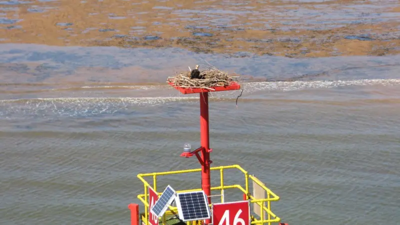 channel marker