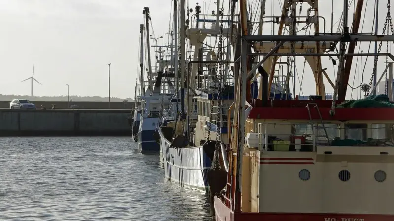 The Port of Esbjerg is expanding to meet increasing demand for storage and shipping-out areas Photo: wikimedia