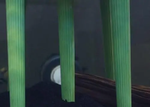 SPEARS technology