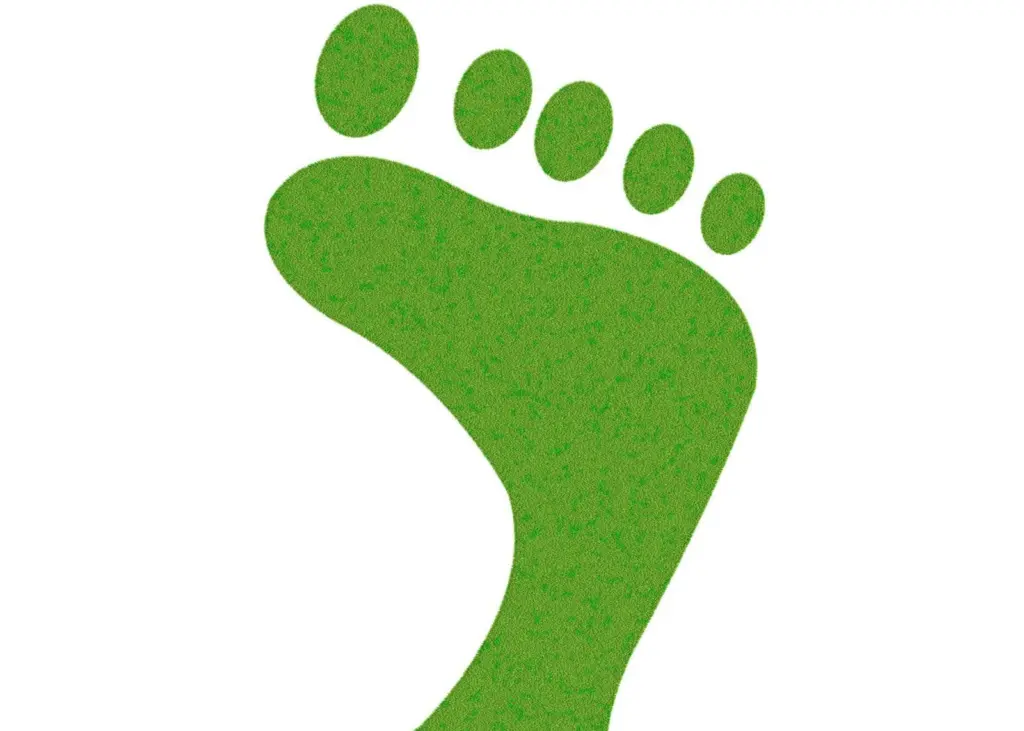 green footprint