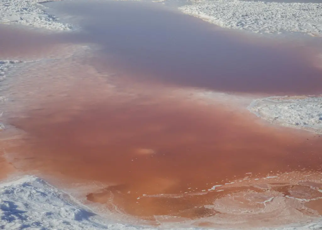 oil spill