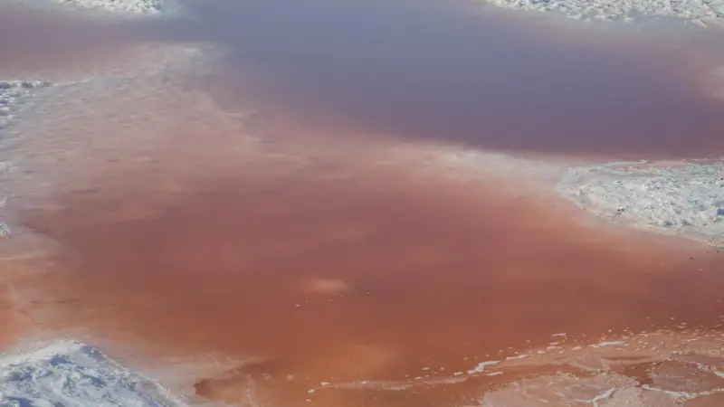 oil spill
