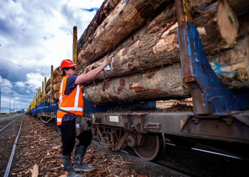 logs