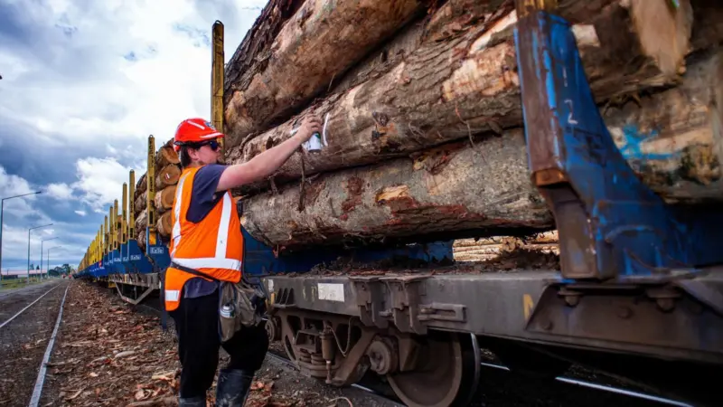 logs