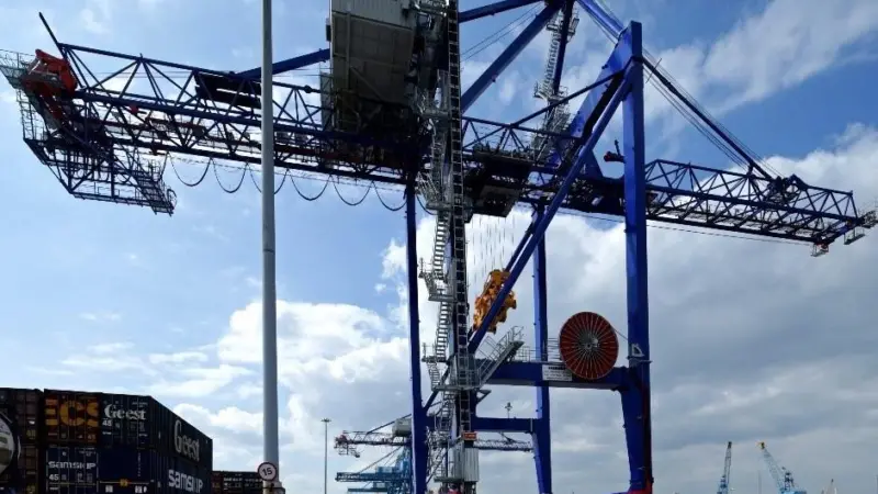cranes