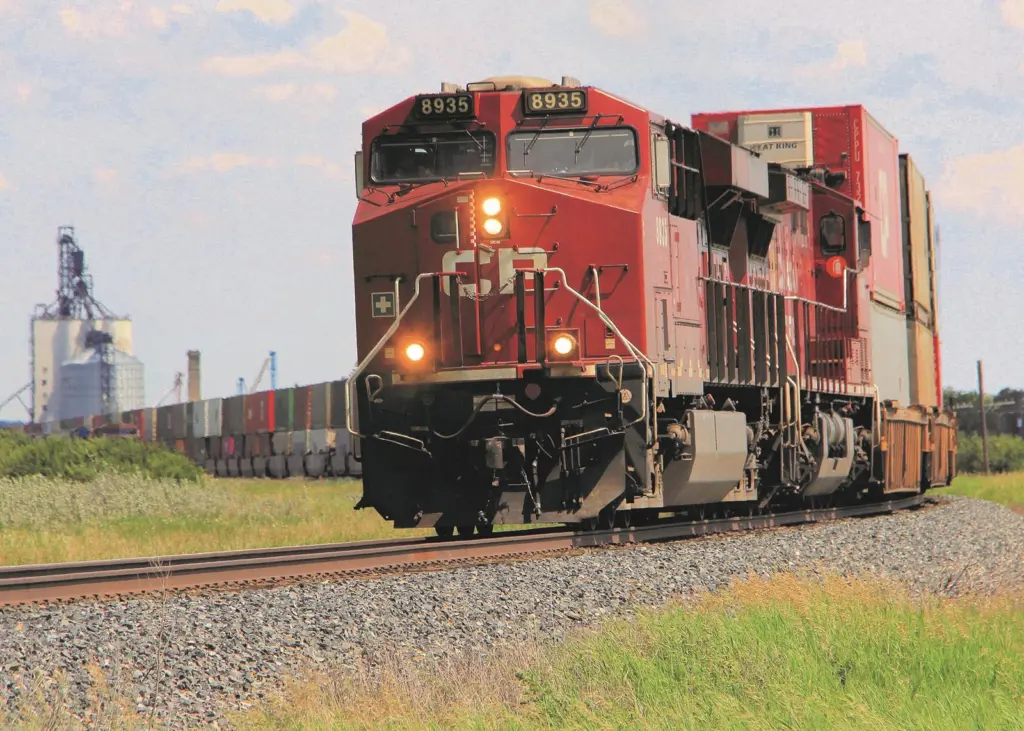 cargo train