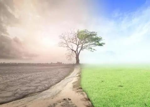 climate emergency declared