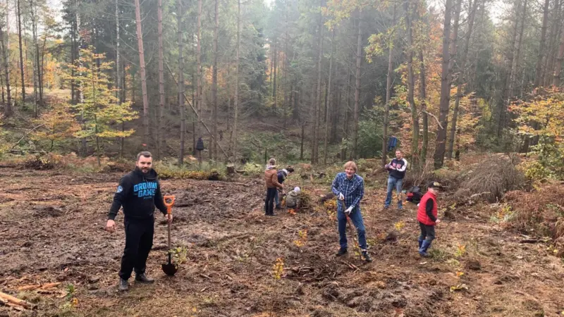 Tree-planting