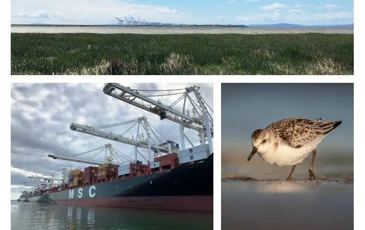 environmental impact assessment