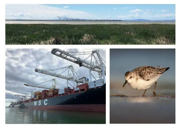 environmental impact assessment