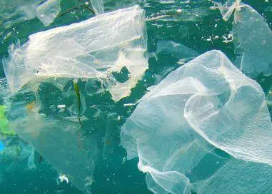 marine litter